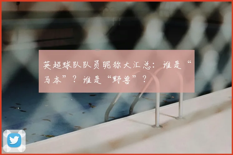 英超球队队员昵称大汇总：谁是“马本”？谁是“野兽”？