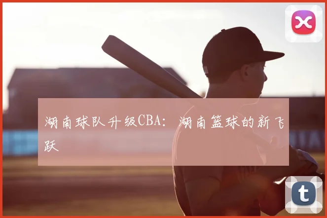 湖南球队升级CBA：湖南篮球的新飞跃