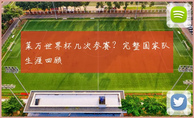 莱万世界杯几次参赛？完整国家队生涯回顾