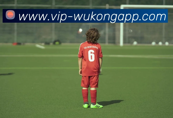 悟空体育appAPP 体育赛事宣传图